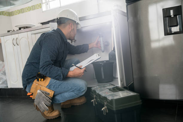 Best Hot Water Heater Installation  in Wanamingo, MN