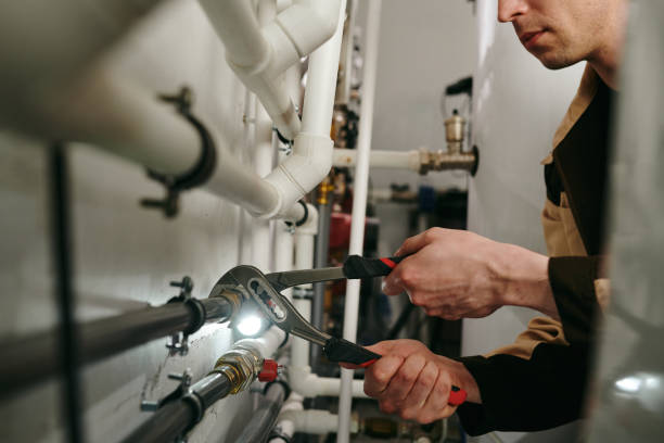  Wanamingo, MN Plumbing Pros