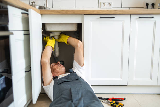 Best Pipe Repair Near Me  in Wanamingo, MN