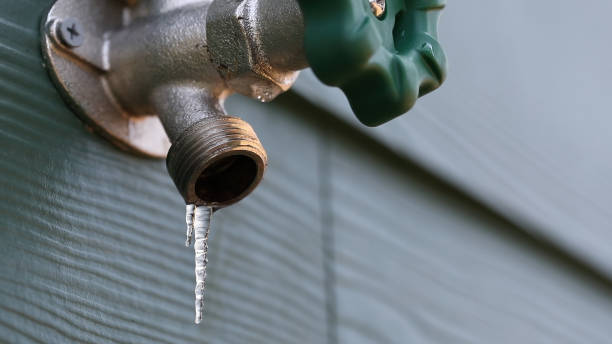 Best Water Leak Repair  in Wanamingo, MN