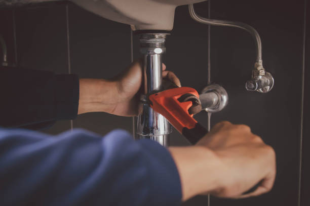 Best Clogged Drain Plumber  in Wanamingo, MN