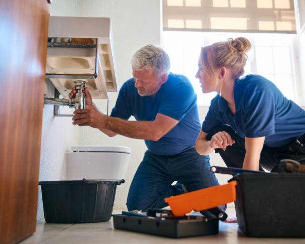 Best Plumbing Services Near Me  in Wanamingo, MN